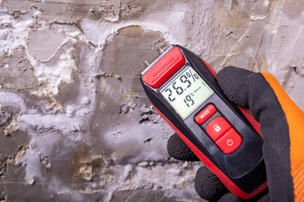 Trusted Burton, OH Mold Removal Experts