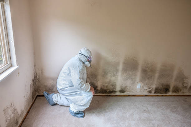 Best Crawl Space Mold Removal  in Burton, OH